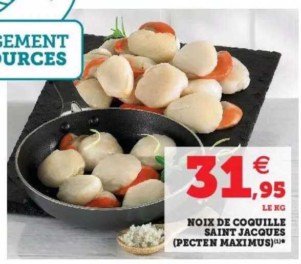 noix de coquille saint jacques (pecten maximus)