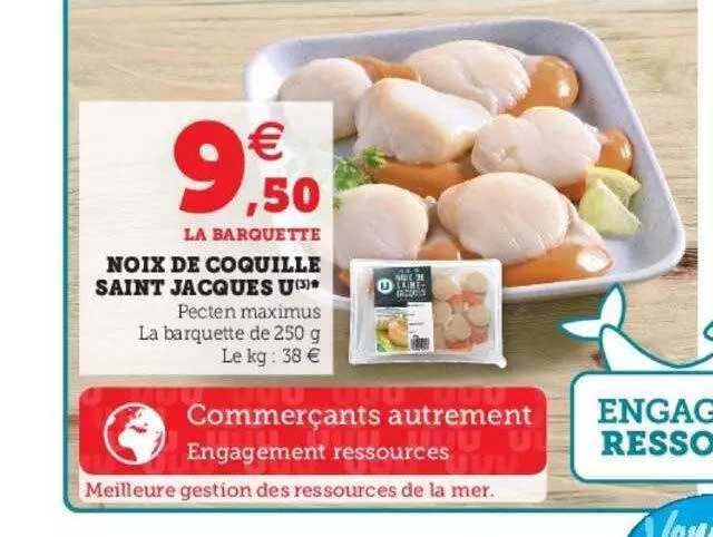 noix de coquille saint jacques u