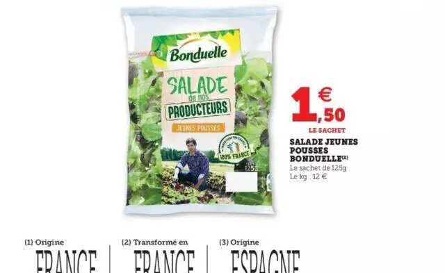 salade jeunes pousses bonduelle