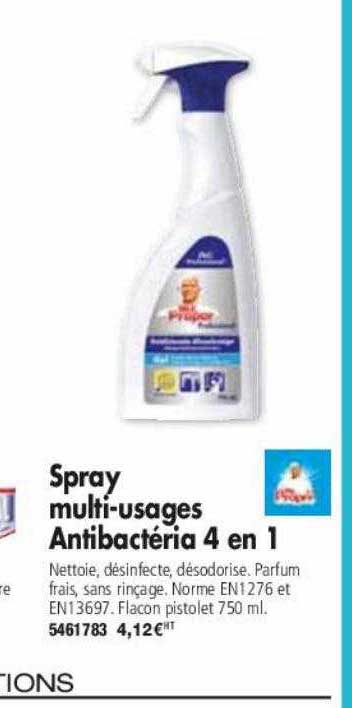spray multi-usages antibactéria 4 en 1 mr propre