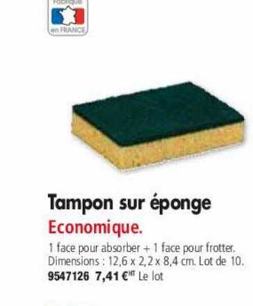 tampon sur éponge