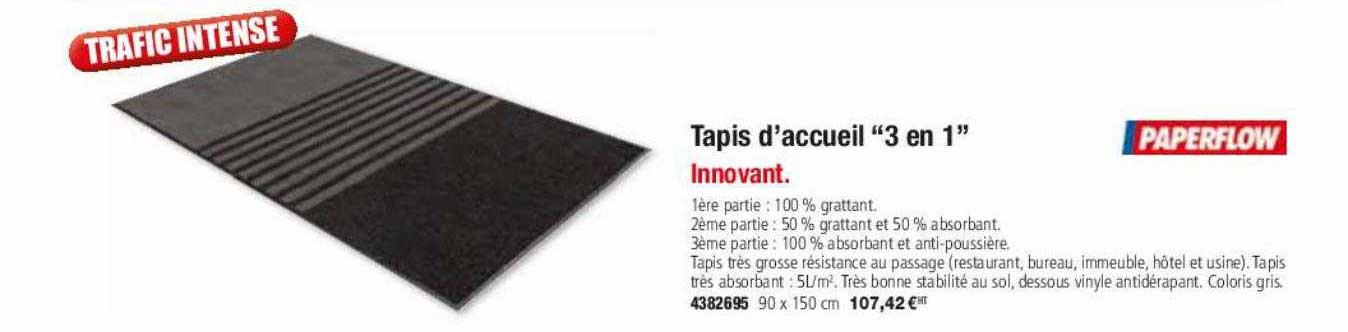 tapis d'accueil "3 en 1"