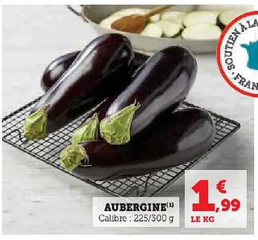Aubergine