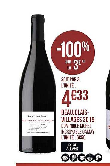 beaujoulais villages 2019  dominique morel incroyable gamay
