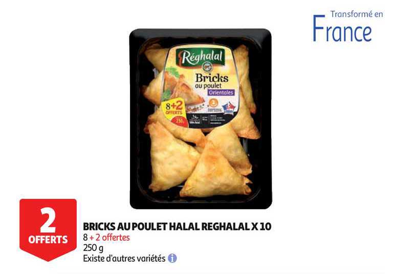 bricks au poulet halal reghalal x 10