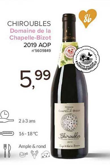 chiroubles domaine de la chapelle bizot