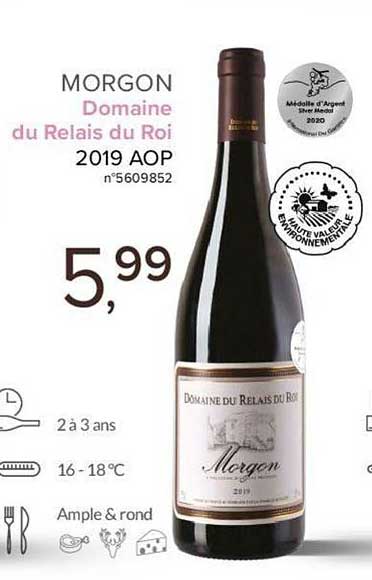 morgon domaine du relais de roi