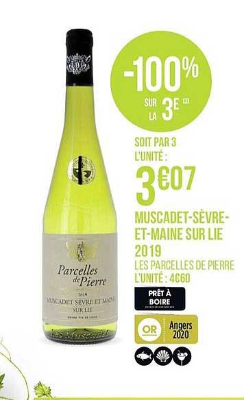 muscadet sèvre et maine sur lie 2019 -100% sur la 3e