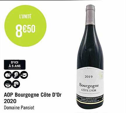 aop bourgogne côte d'or 2020 domaine pansiot