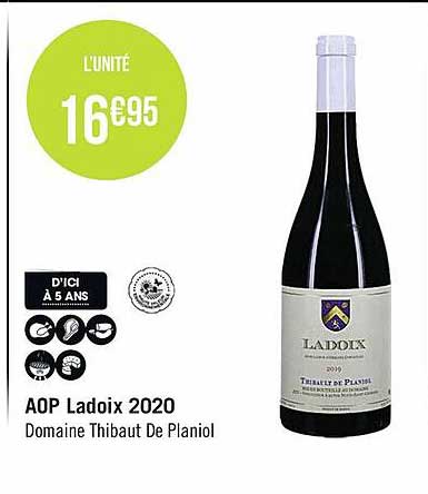 aop ladoix 2020 domaine thibaut de planiol