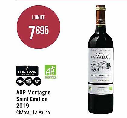 aop montagne saint émilion 2019 château la vallée