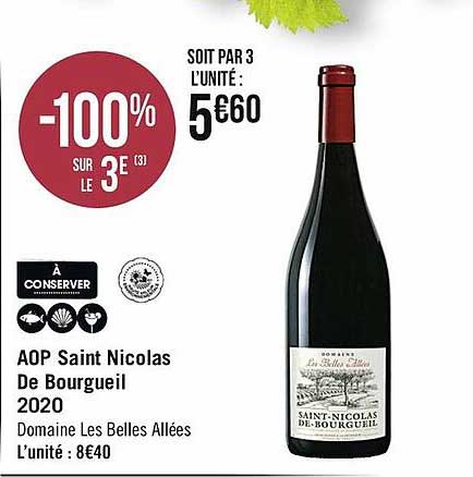 aop saint nicolas de bourgueil 2020 domaine les belles allées