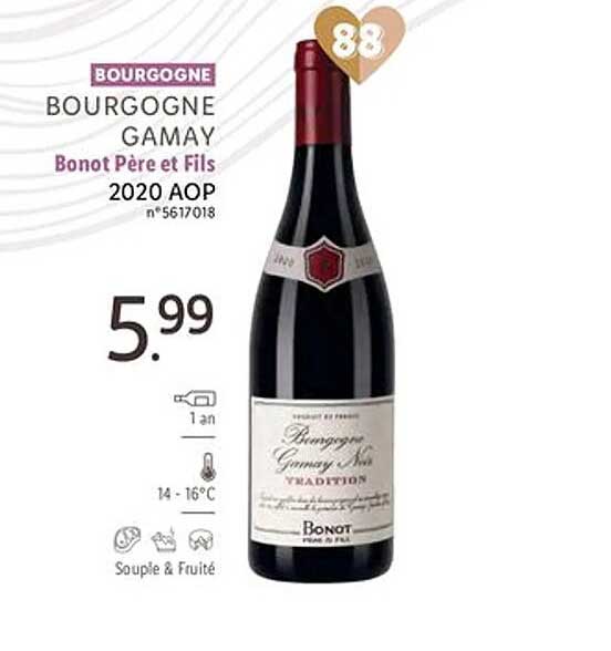 bourgogne gamay bonot père et fils 2020 aop