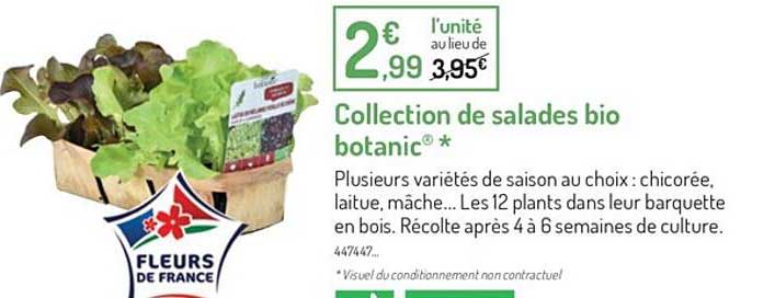 Collection De Salades Bio Botanic