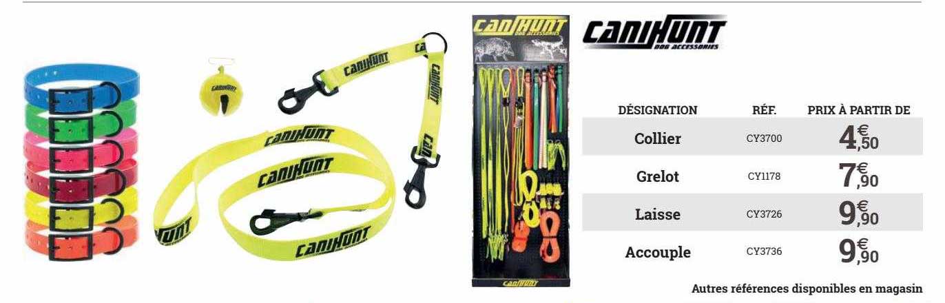 collier, grelot, laisse, accouple