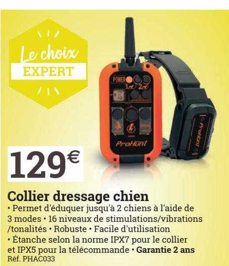collier dressage chien