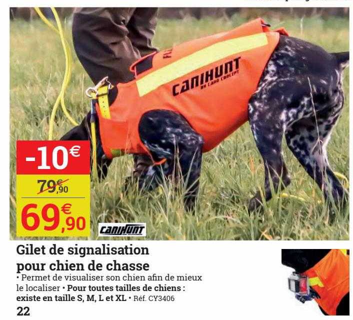 gilet de signalisation pour chien de chasse