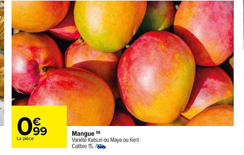 mangue katsuri ou maya ou lent