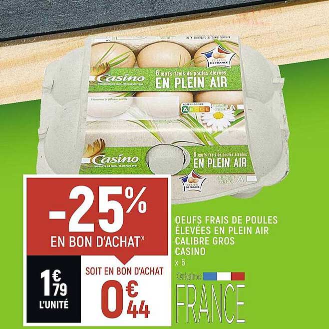 oeufs frais de poules élevées en plein air calibre gros casino