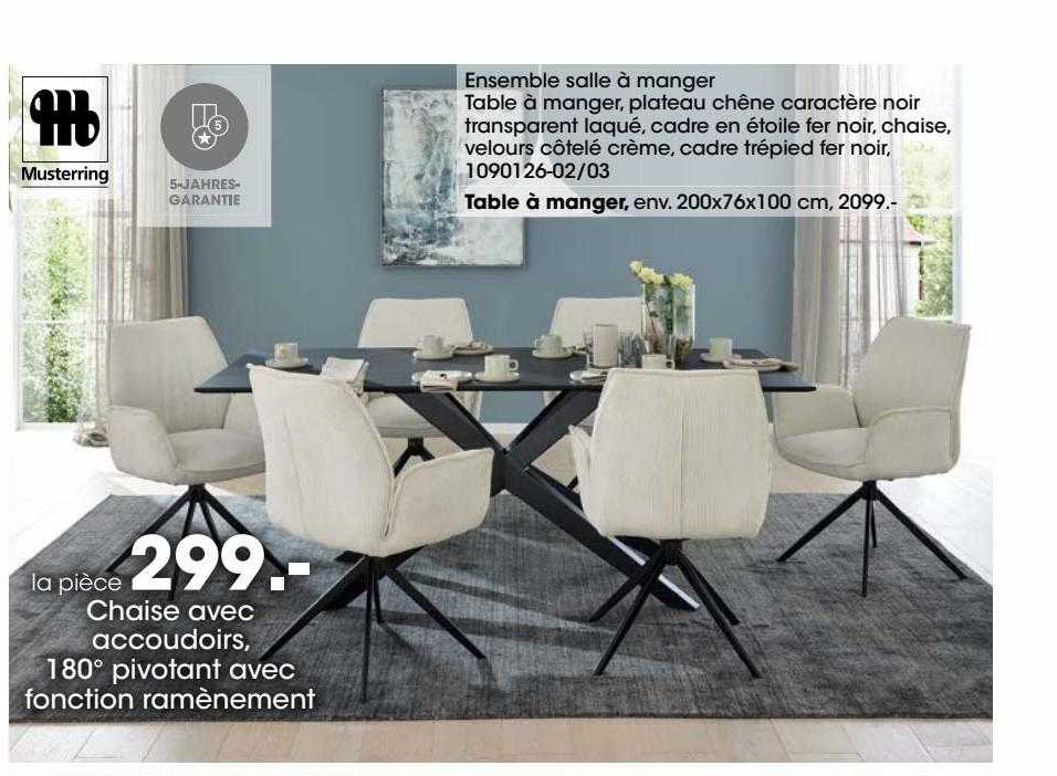 chaise avec accoudoirs, 180° pivotant avec fonction ramènement