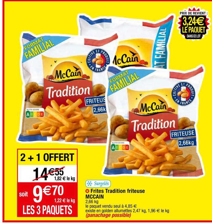 frites tradition friteuse mc cain
