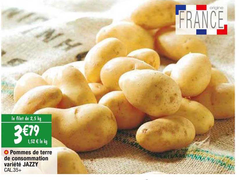 Pommes De Terre De Consommation Variété Jazzy