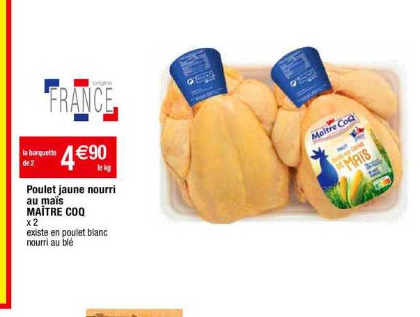 poulet jaune nourri au maïs maître coq