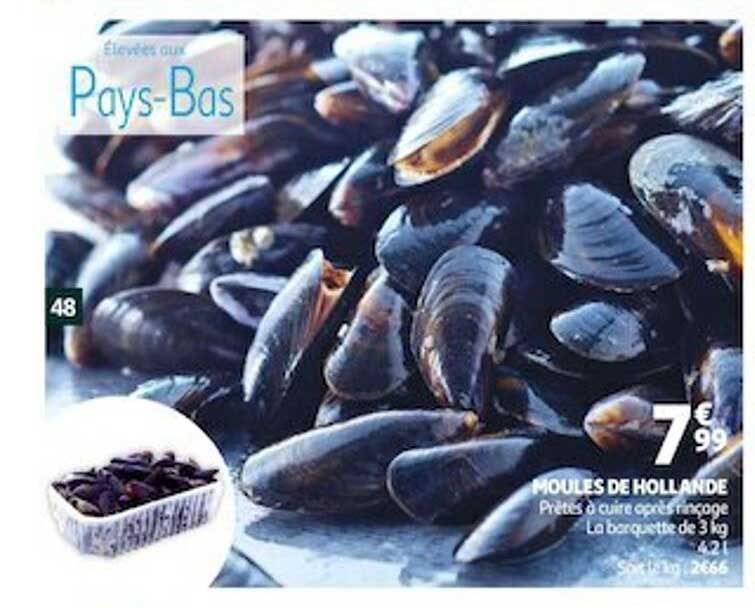 Moules De Hollande