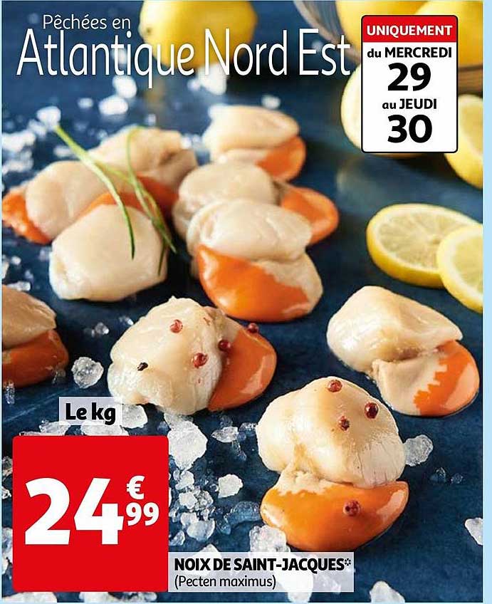 noix de saint-jacques