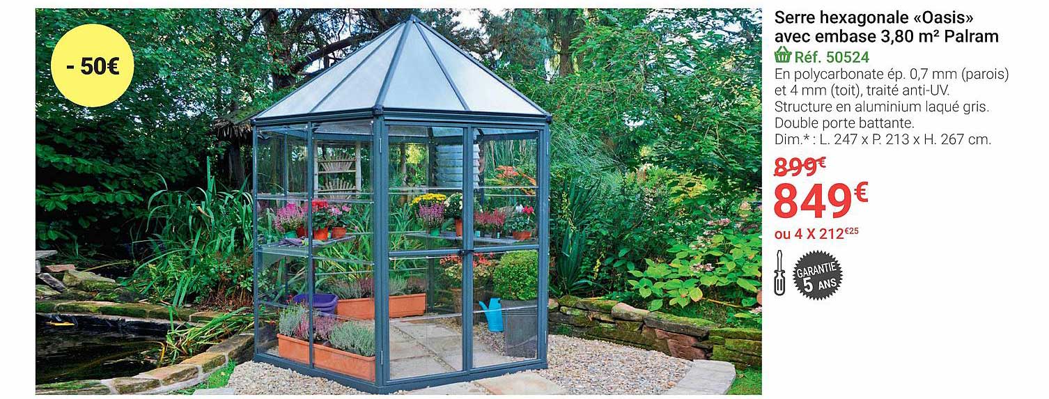 serre hexagonale «oasis» avec embase 3,80 m² palram