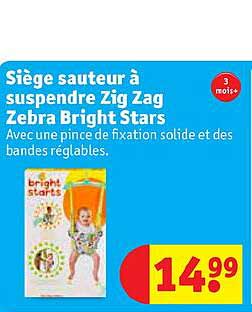 siège sauteur à suspendre zig zag zebra bright stars