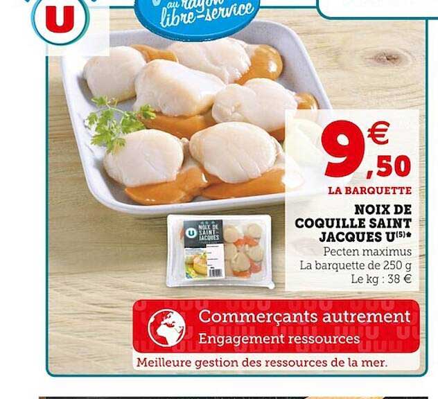 noix de coquille saint jacques u
