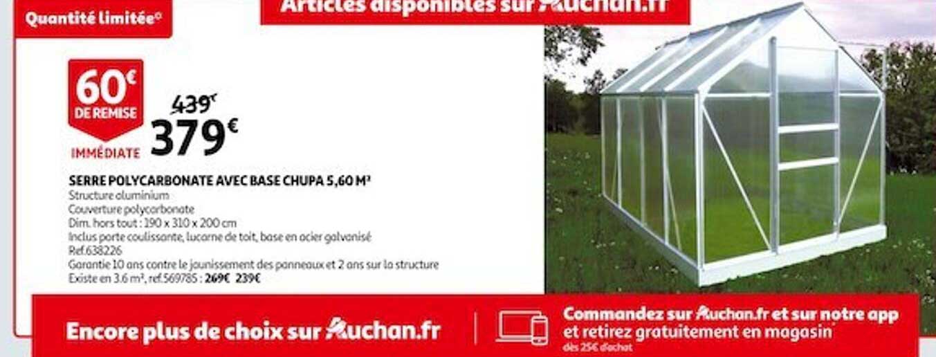 serre polycarbonate avec base chupa 5,60 m²