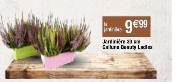 jardinière 30cm calluna beauty ladies
