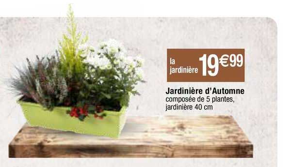 jardinière d'automne