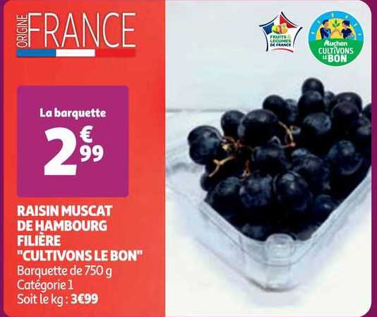 raisin muscat de hambourg filière "cultivons le bon"