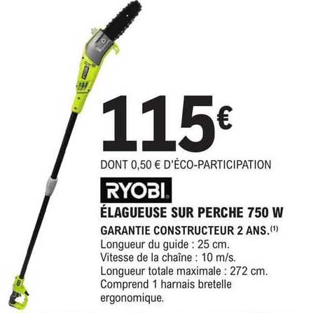ryobi élageuse sur perche 750w