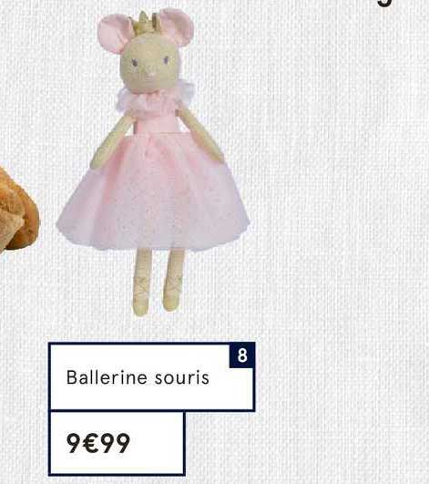 Ballerine Souris