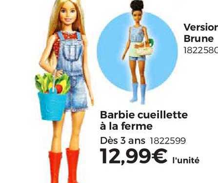 barbie cueillette à la ferme, version brune