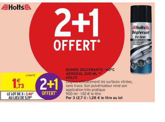 Bombe Dégrivant 40°c Aérosol 300 Ml Holts 2+1 Offert