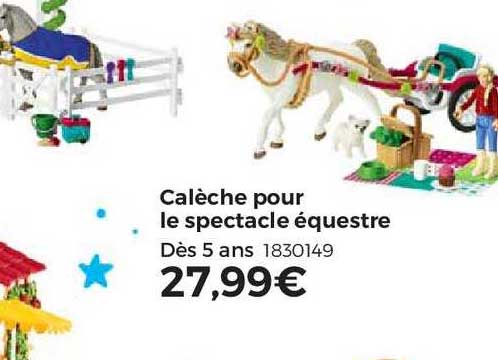 calèche pour le spectacle équestre