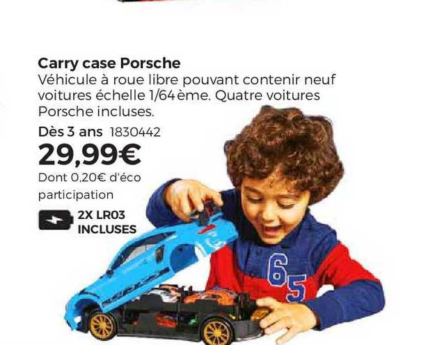 carry case porsche