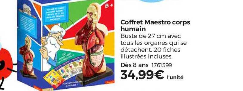coffret maestro corps humain
