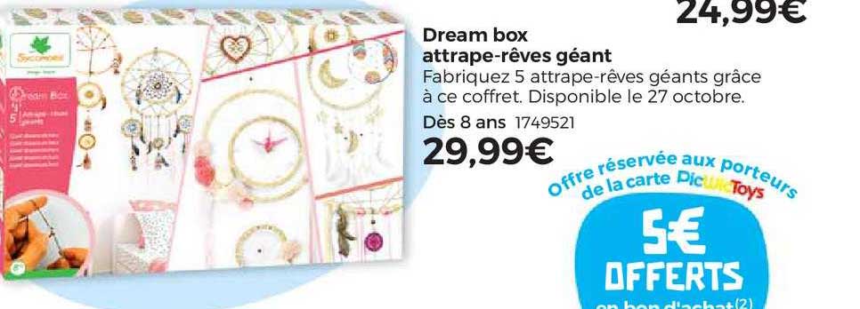 dream box attrape-rêves géant