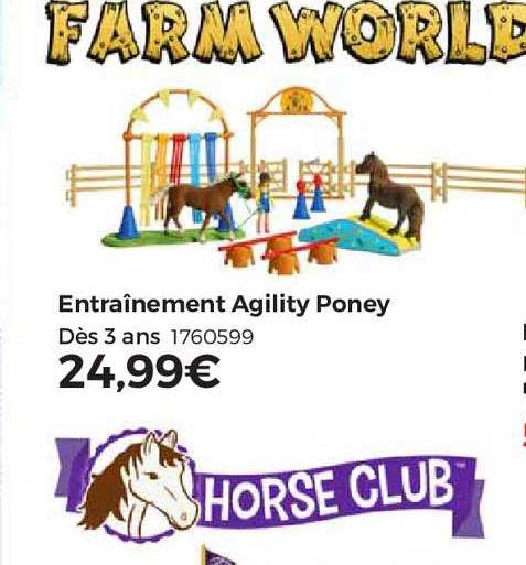 entraînement agility poney