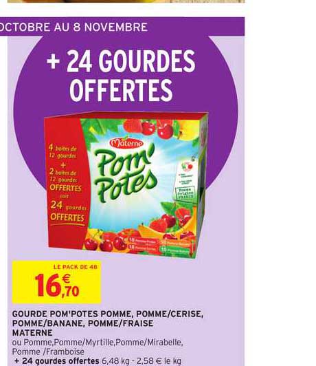 gourde pom'potes pomme, pomme cerise, pomme banane, pomme fraise materne + 24 gourdes offertes