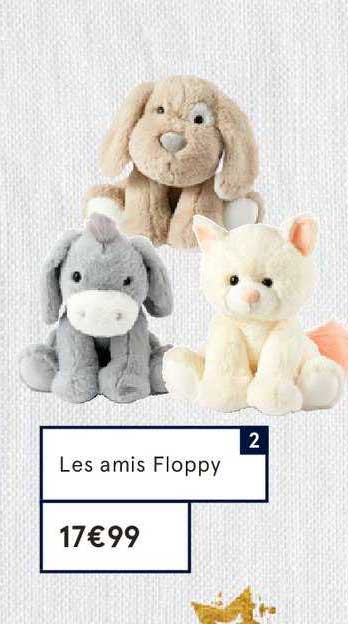 les amis floppy