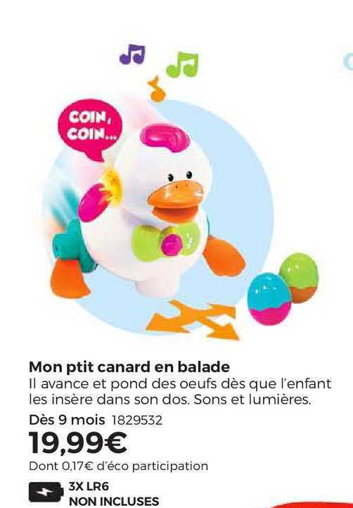 mon ptit canard en balade