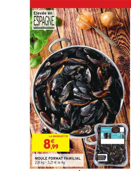 moule format familial
