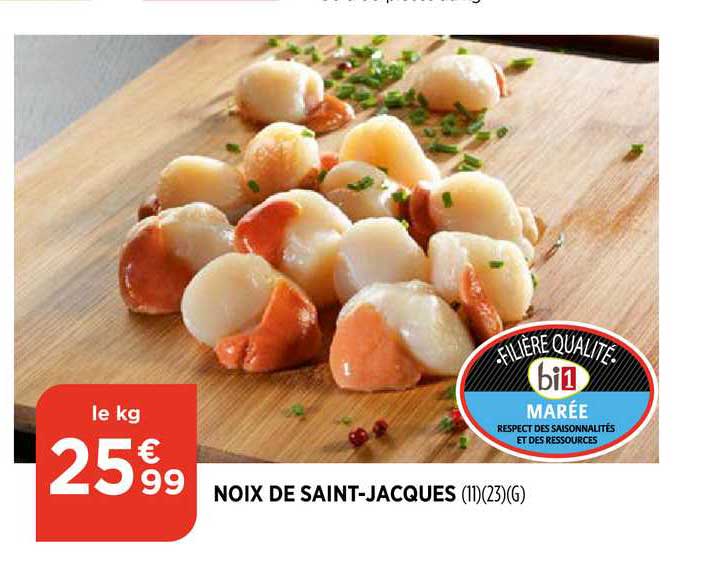 noix de saint jacques